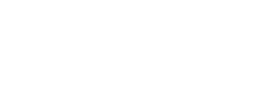 Weißes Logo auf hellgrauem Hintergrund mit großen Buchstaben GSE über einer horizontalen Linie, darunter in Kleinbuchstaben der Schriftzug Organic Supplements.