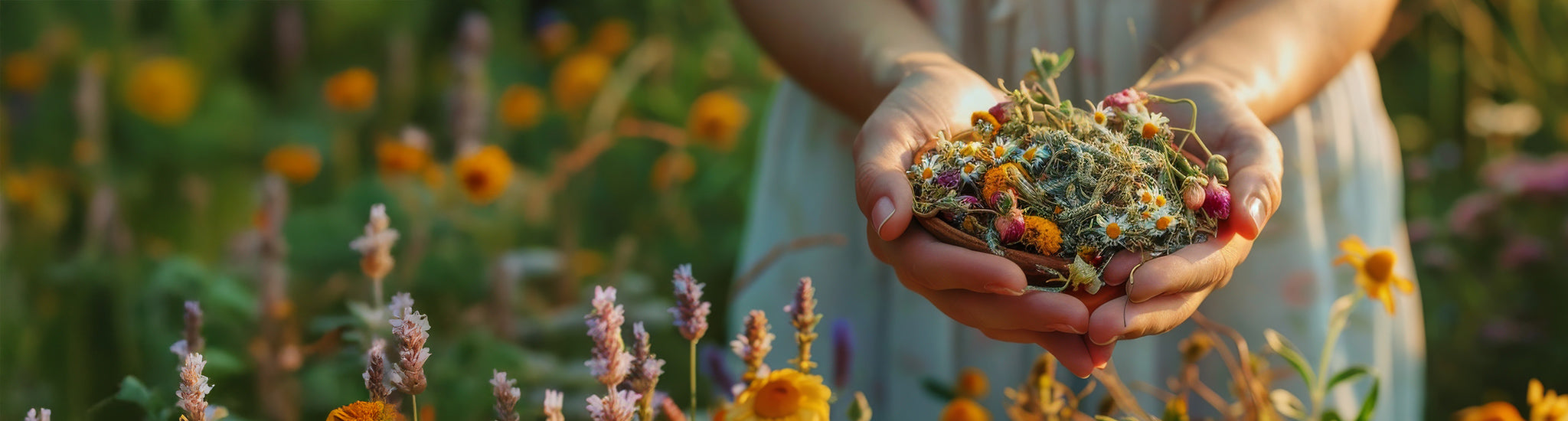Eine Person in einem weißen Kleid hält eine Handvoll getrockneter Wildblumen und Kräuter in einem blühenden Garten mit leuchtend gelben, rosa und violetten Blüten im sanften Sonnenlicht.