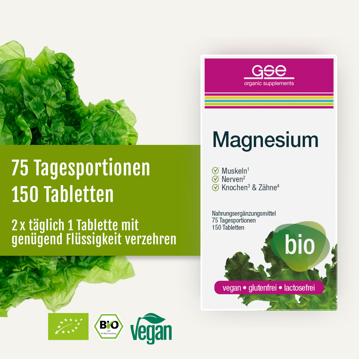 Schachtel mit „gse.organic.supplements“-Magnesium-Tabletten (Bio) mit deutschem Text, der die positiven Wirkungen auf Muskeln, Nerven, Knochen und Zähne hervorhebt. Die Verpackung ist als „Bio“, „vegan“, „glutenfrei“ und „laktosefrei“ gekennzeichnet, um Ihren Magnesiumbedarf zu decken, was durch grüne Salatblätter visuell hervorgehoben wird.