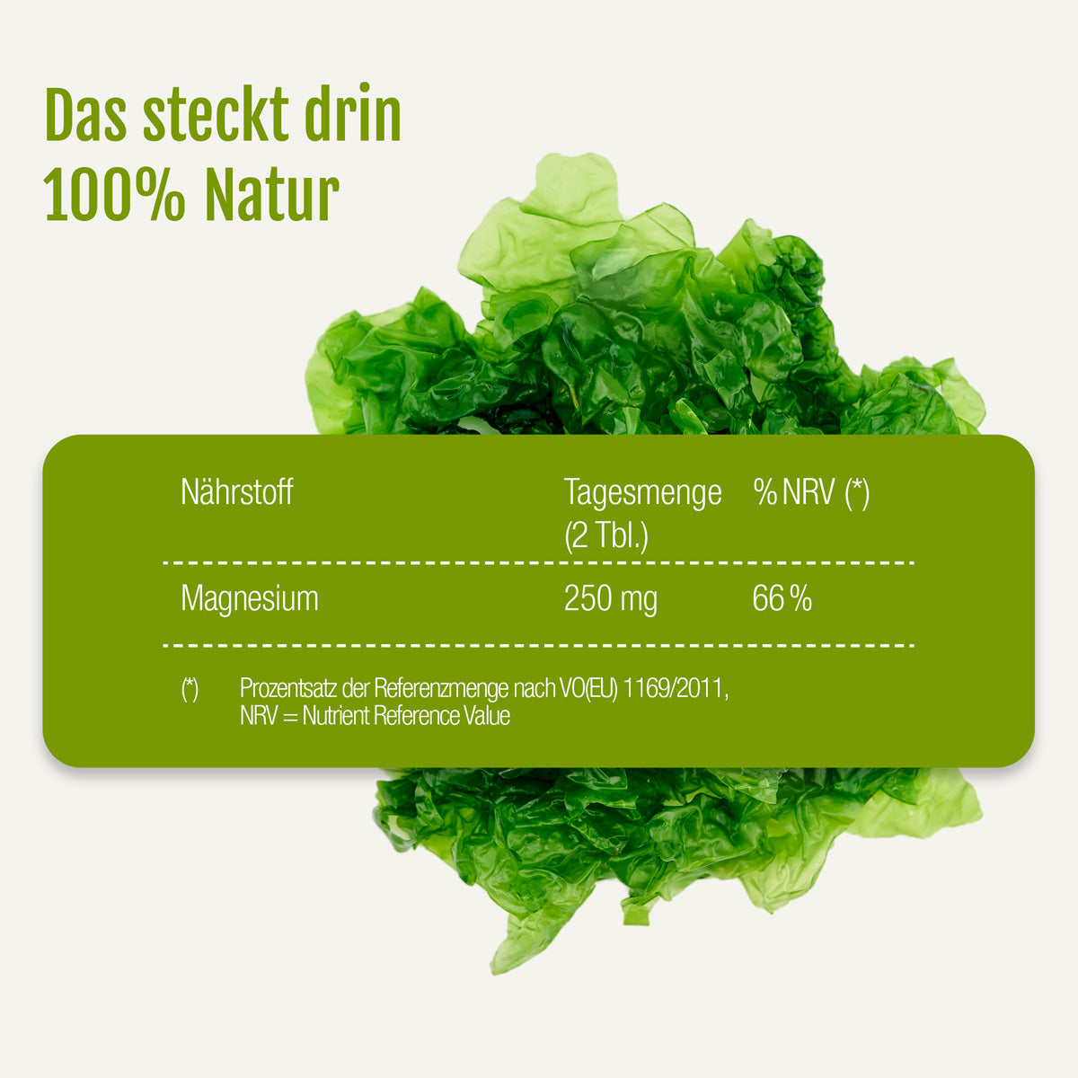 Der grüne Text lautet: „Das steckt drin – 100 % Natur“. Darunter zeigt eine Tabelle die tägliche Magnesiumzufuhr (250 mg, 66 % NRV) aus 2 Tabletten „Magnesium (Bio)“ von gse.organic.supplements. Im Hintergrund sind grüne Blattalgen abgebildet, die die Quelle des natürlichen Magnesiums hervorheben. Im Kleingedruckten wird der NRV als Nährstoffreferenzwert erläutert und über den täglichen Magnesiumbedarf informiert.
