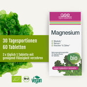 Eine Packung „gse.organic.supplements Magnesium (Bio)“ mit einem Motiv aus grünen Blättern, auf der „30 Tagesportionen“ und „60 Tabletten“ angegeben sind und die als biologisch, vegan, glutenfrei und laktosefrei gekennzeichnet ist – ideal, um Ihren Magnesiumbedarf auf natürliche Weise mit natürlichem Magnesium zu decken.
