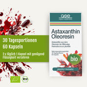 Eine Packung „gse.organic.supplements Astaxanthin-Oleoresin-Kapseln (Bio)“ steht vor roten Farbtupfern, die auf die Blutregenalge verweisen. Grüner Text hebt folgende Angaben hervor: 30 Tagesportionen, 60 Kapseln, Bio, glutenfrei und laktosefrei.