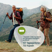 Ein älterer Mann und eine ältere Frau mit Rucksäcken und Wanderstöcken gehen auf einem grasbewachsenen Bergpfad. Deutscher Text erklärt gse.organic.supplements Omega 3 Perillaöl Kapseln (Bio): 7 Kapseln à 600 mg täglich, ideal für einen pflanzlichen Lebensstil.