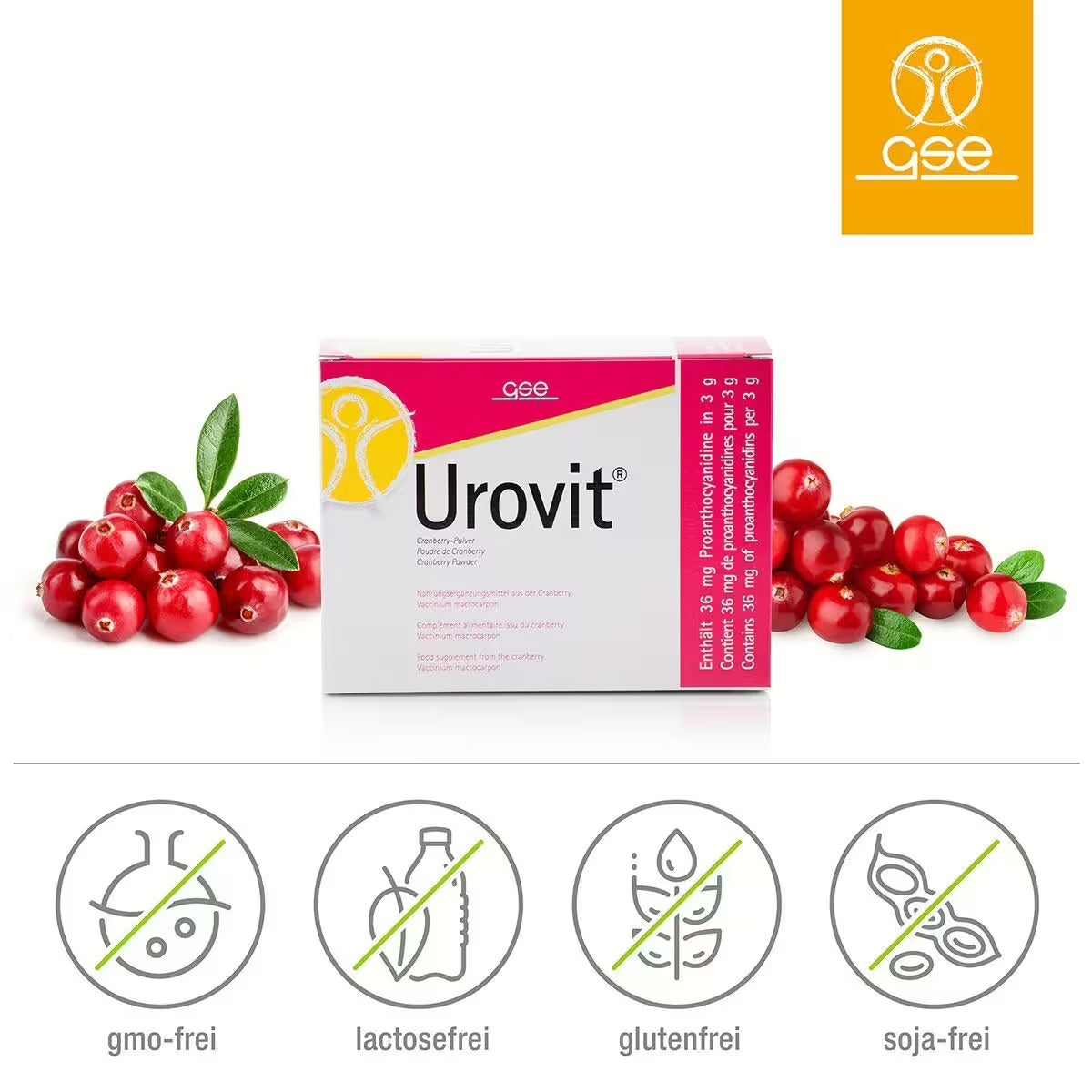 Eine Packung Urovit®-Cranberry Pulver von gse.organic.supplements ist mit Cranberries und grünen Blättern auf beiden Seiten abgebildet. Symbole weisen darauf hin, dass das Pulver gentechnikfrei, laktosefrei, glutenfrei und sojafrei ist. Das gse-Logo erscheint oben rechts.